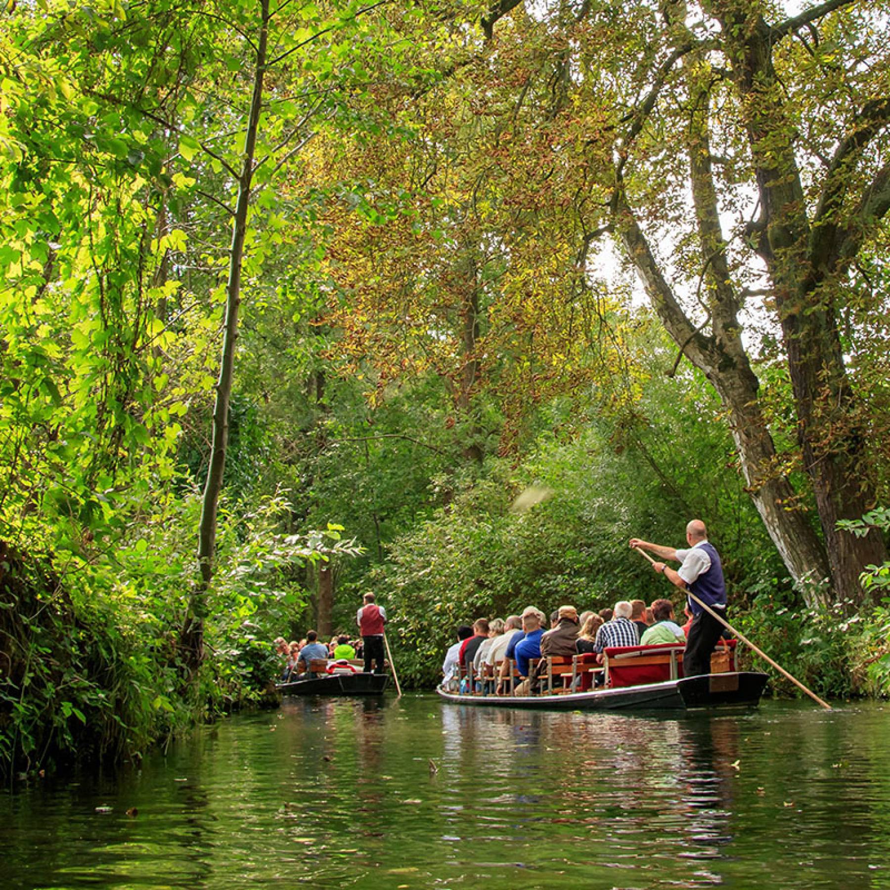 29.04.-03.05.2026 – Spreewald: Natur pur!