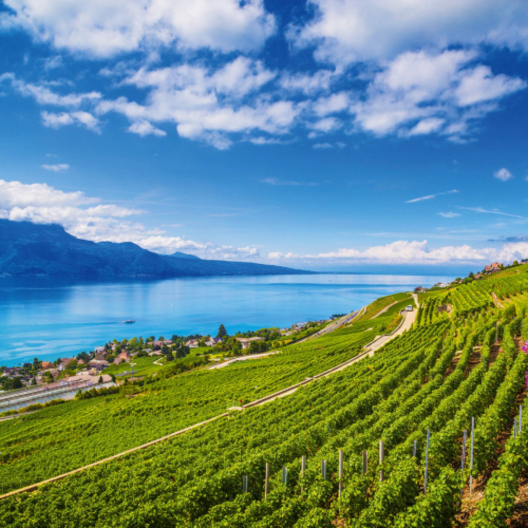 19.-22.10.2026 – Herbsttage am Genfer See